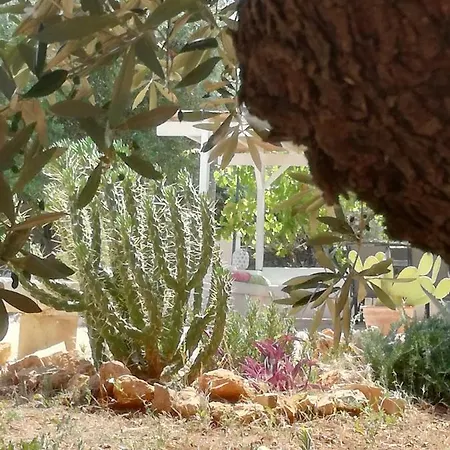 Casa di campagna Trullo Nonno Bebe